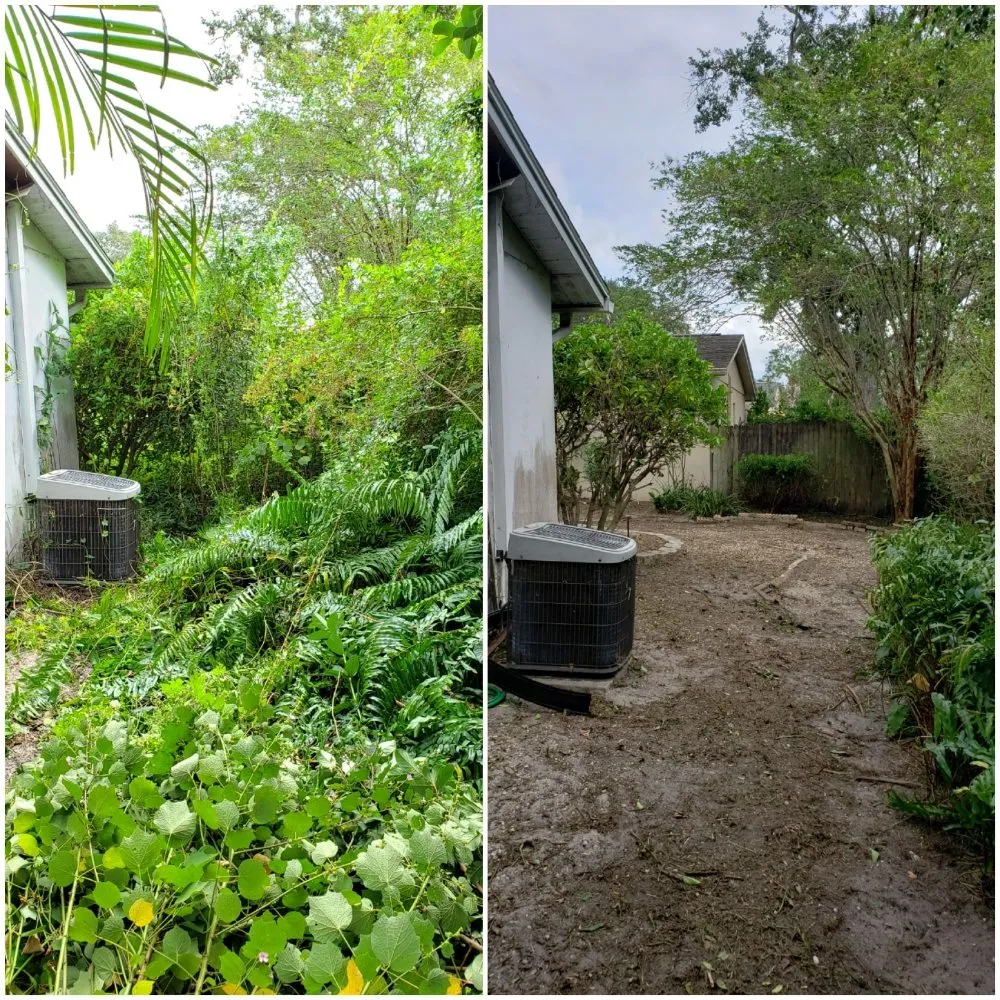 Professional lawn care service for residential properties in Dunedin, FL by Shane's Lawn Care