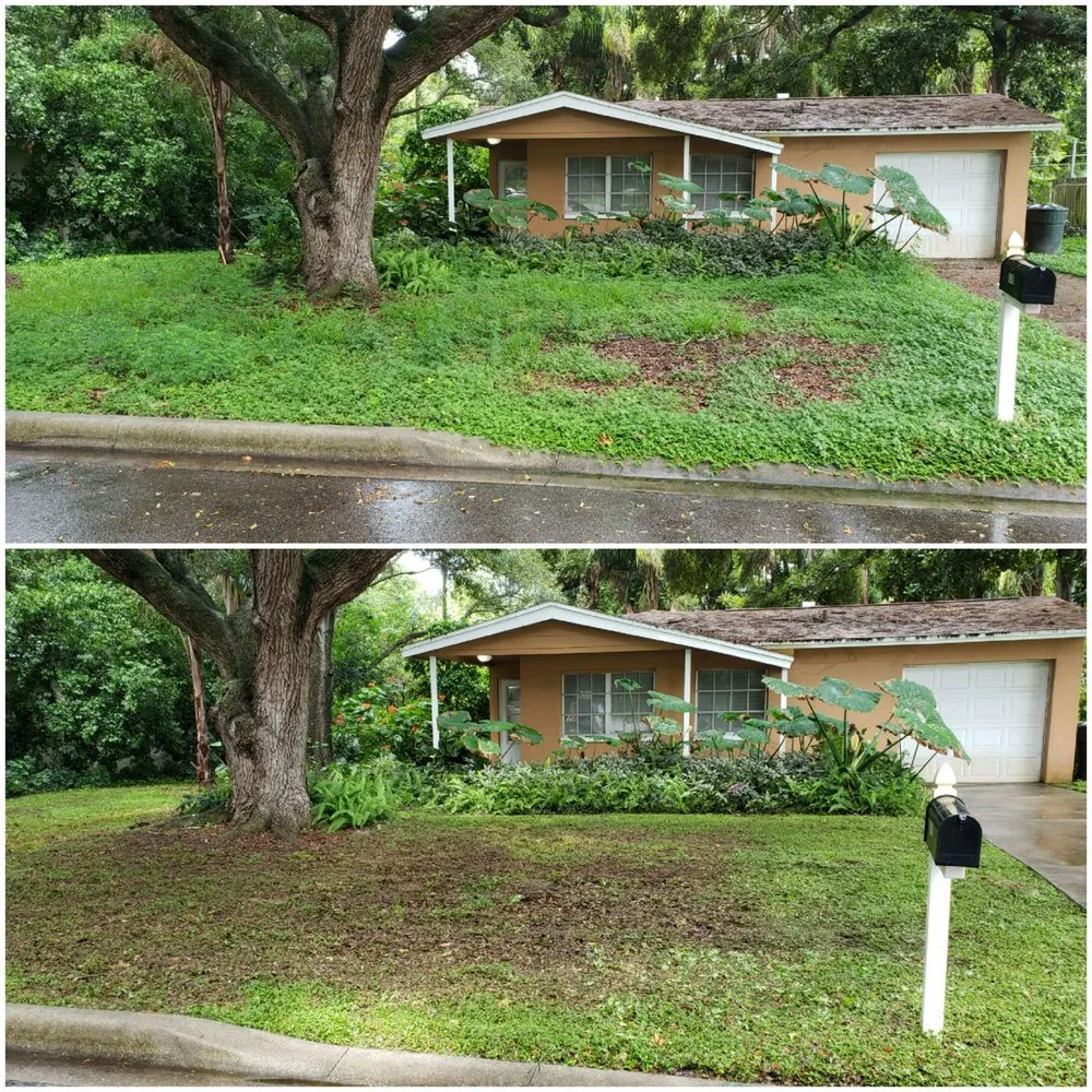 Professional garden landscaping for beautiful yards across Dunedin, FL - Shane's Lawn Care