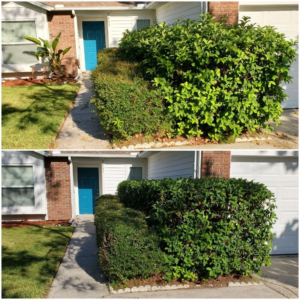 Trusted residential landscaping for residential properties in Dunedin, FL by Shane's Lawn Care