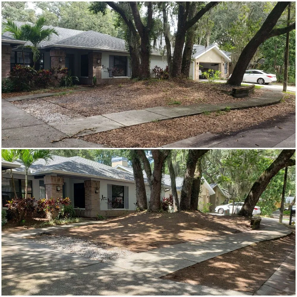 Expert landscape design in Dunedin, FL by Shane's Lawn Care