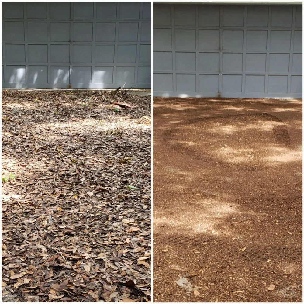 Local landscaping services experts serving Dunedin, FL - Shane's Lawn Care