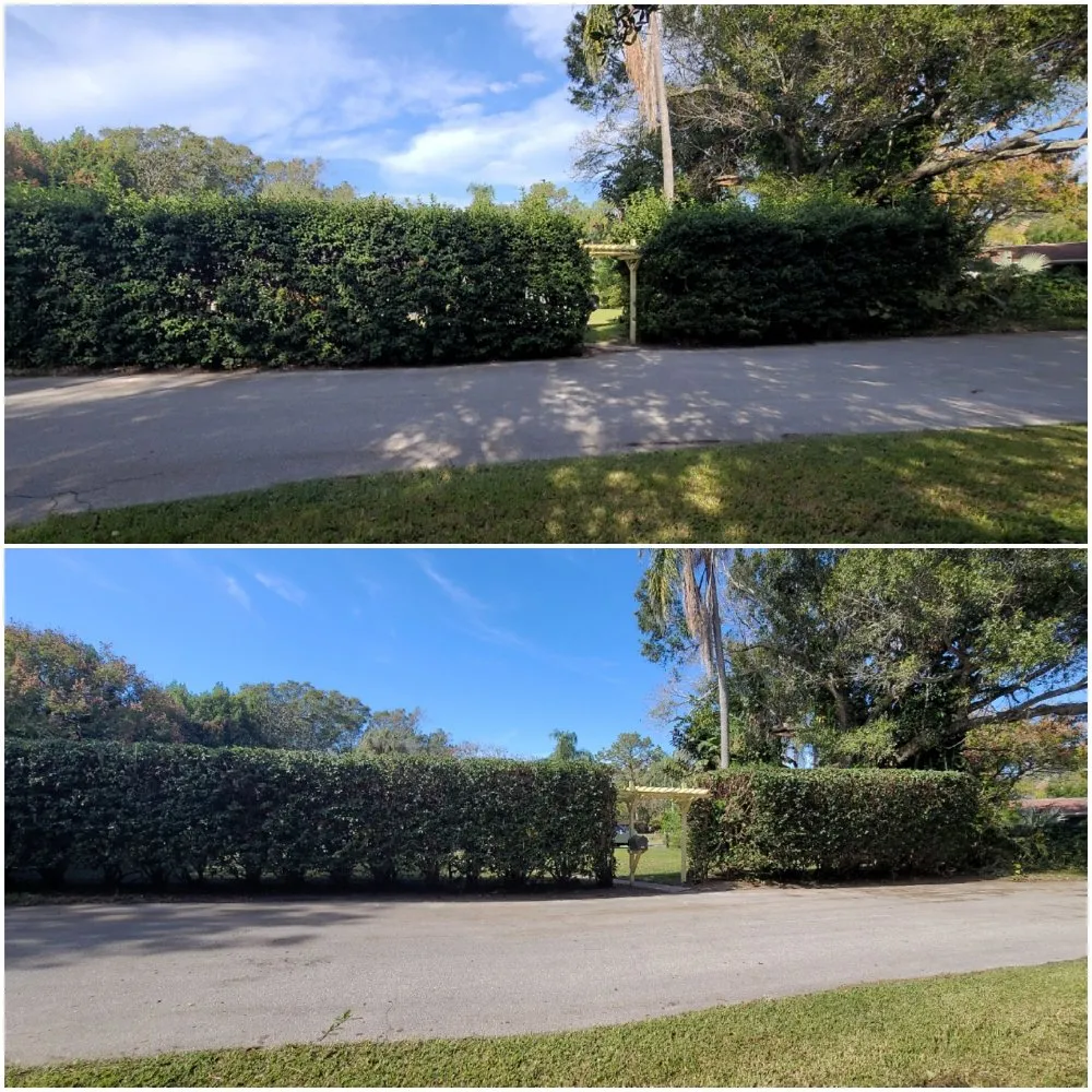 Trusted yard maintenance in Dunedin, FL - Shane's Lawn Care