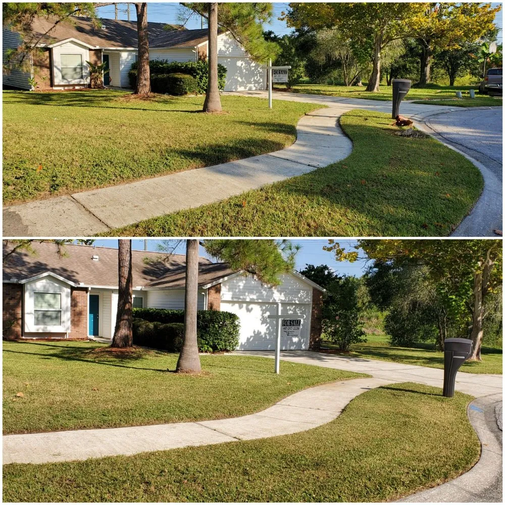 Professional residential landscaping near you across Dunedin, FL - Shane's Lawn Care