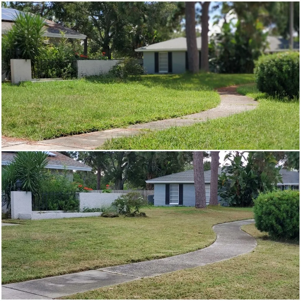 Professional landscape design in Dunedin, FL - Shane's Lawn Care