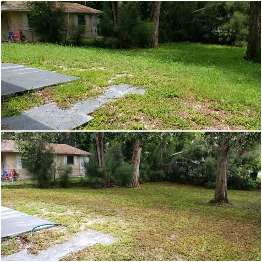 Top-rated outdoor landscaping in Dunedin, FL by Shane's Lawn Care