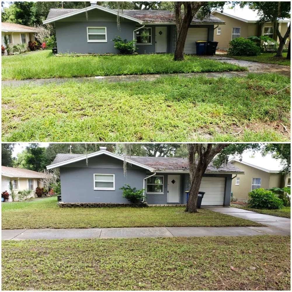 Professional lawn care service in Dunedin, FL by Shane's Lawn Care