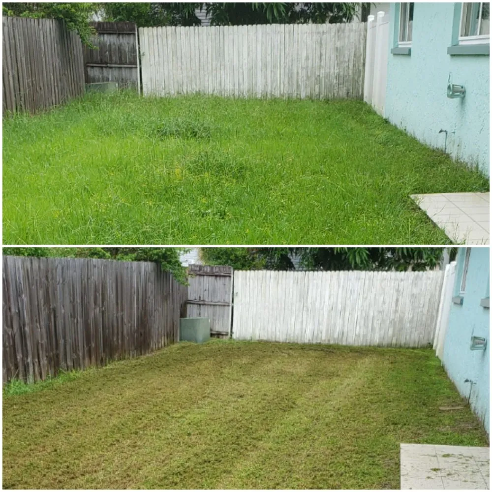 Top-rated lawn care service for beautiful yards in Dunedin, FL by Shane's Lawn Care
