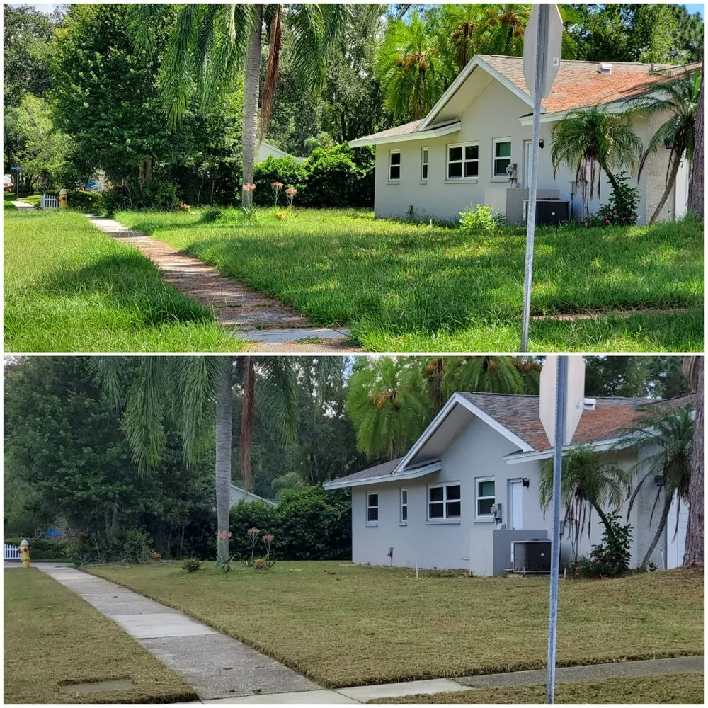 Expert residential landscaping experts serving Dunedin, FL - Shane's Lawn Care