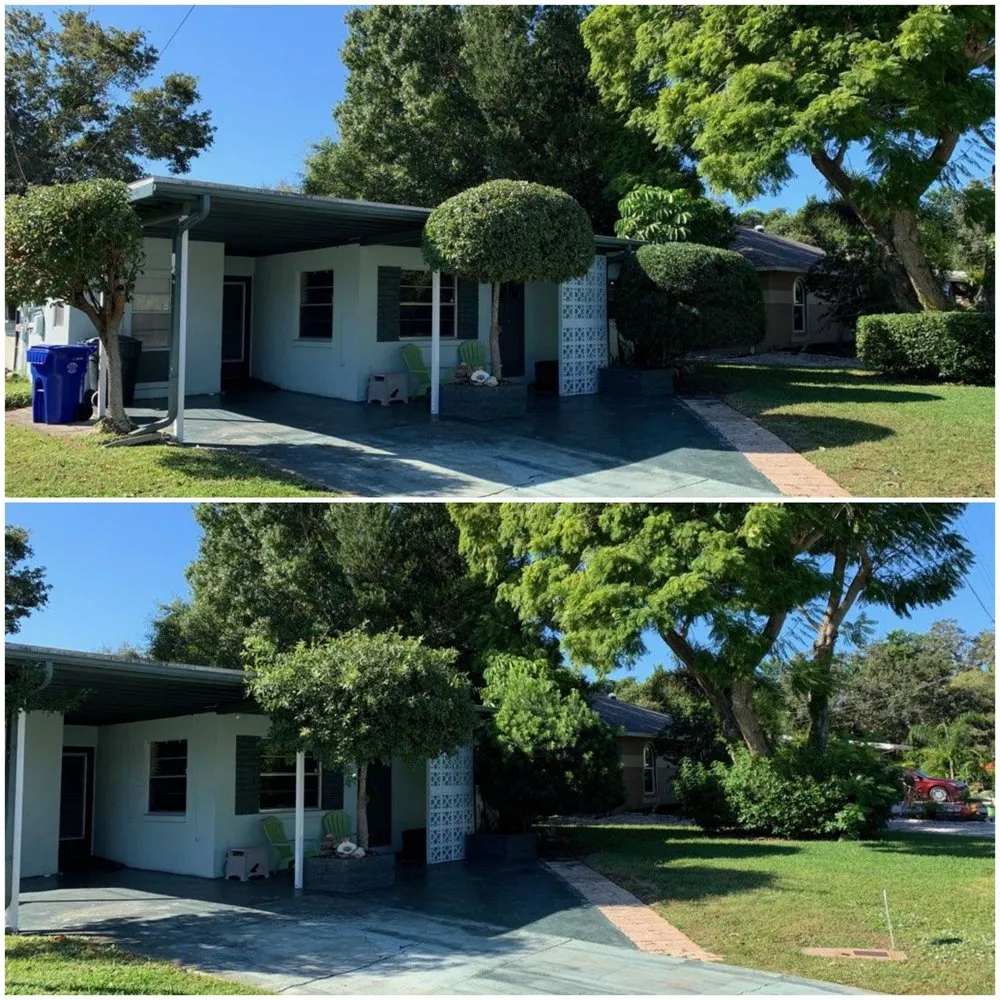 Custom lawn mowing service in Dunedin, FL by Shane's Lawn Care