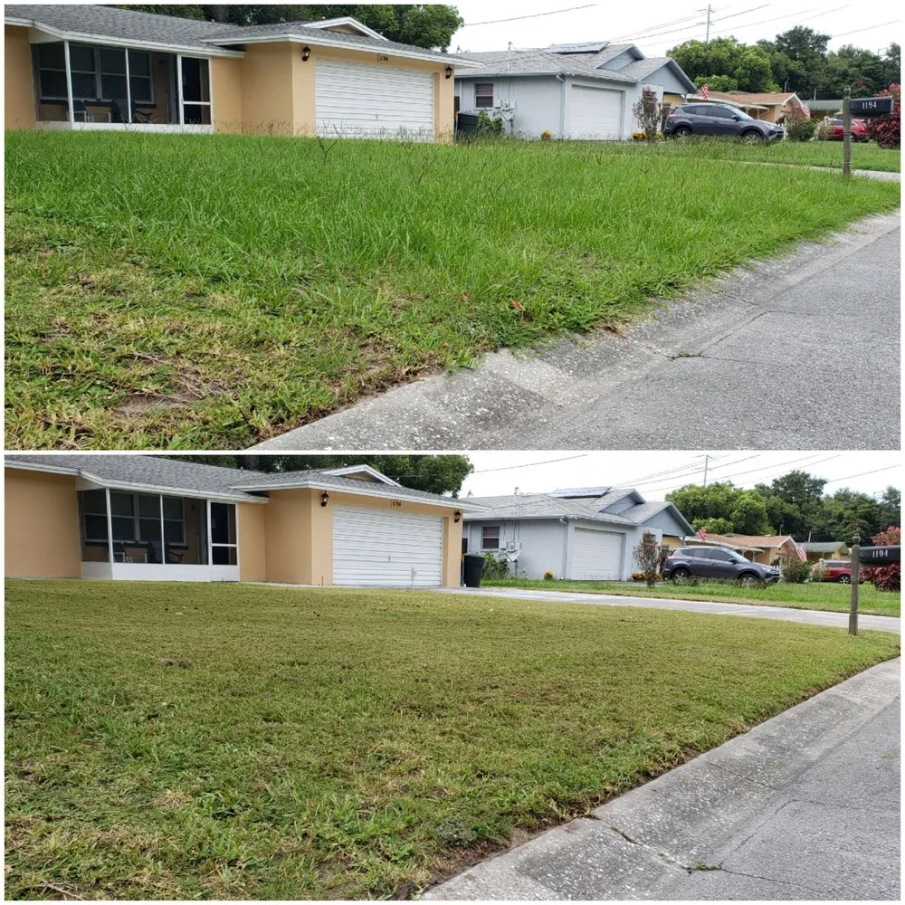 Expert yard maintenance for outdoor upgrades across Dunedin, FL - Shane's Lawn Care
