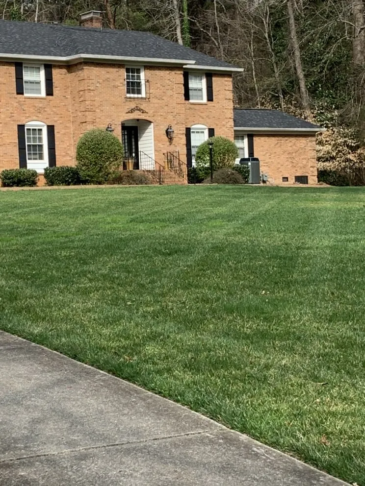 Reliable lawn care service experts serving Matthews, NC - Shane’s Lawn Care