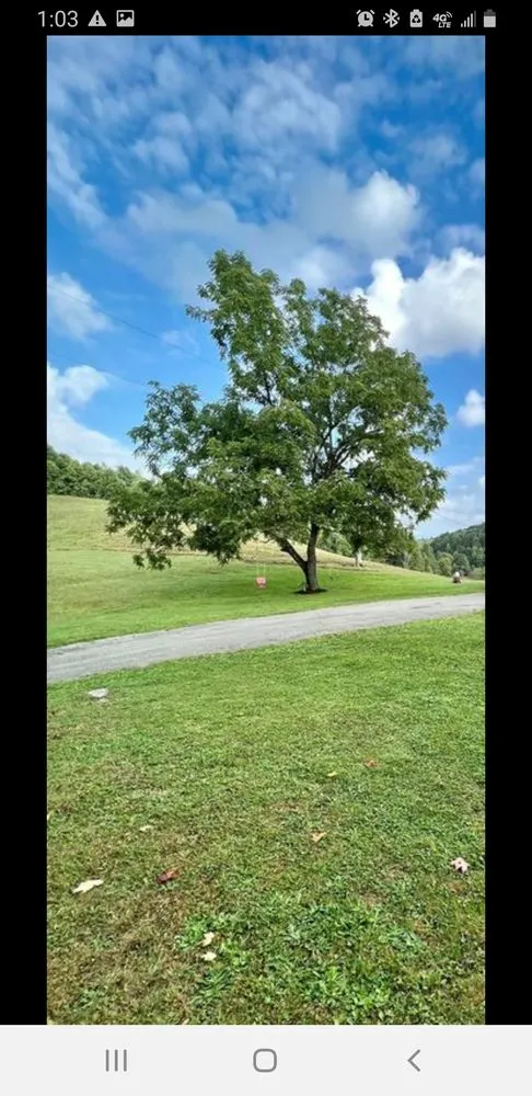 Expert garden landscaping with custom design in Odd, WV by Shane’s Lawn Care