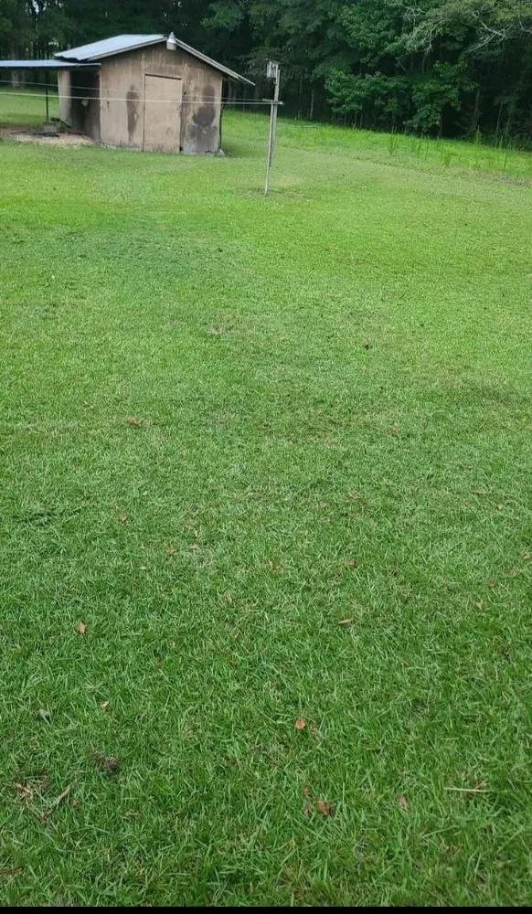 Affordable lawn care service for beautiful yards across Ellisville, MS - Shanes lawncare