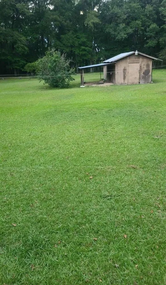 Trusted yard maintenance experts serving Ellisville, MS - Shanes lawncare