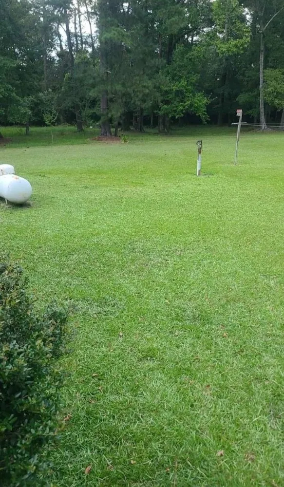 Custom residential landscaping for homes across Ellisville, MS - Shanes lawncare