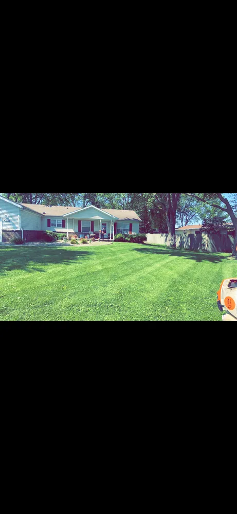 Top-rated yard cleanup service experts serving Champaign, IL - Shane's Mowing