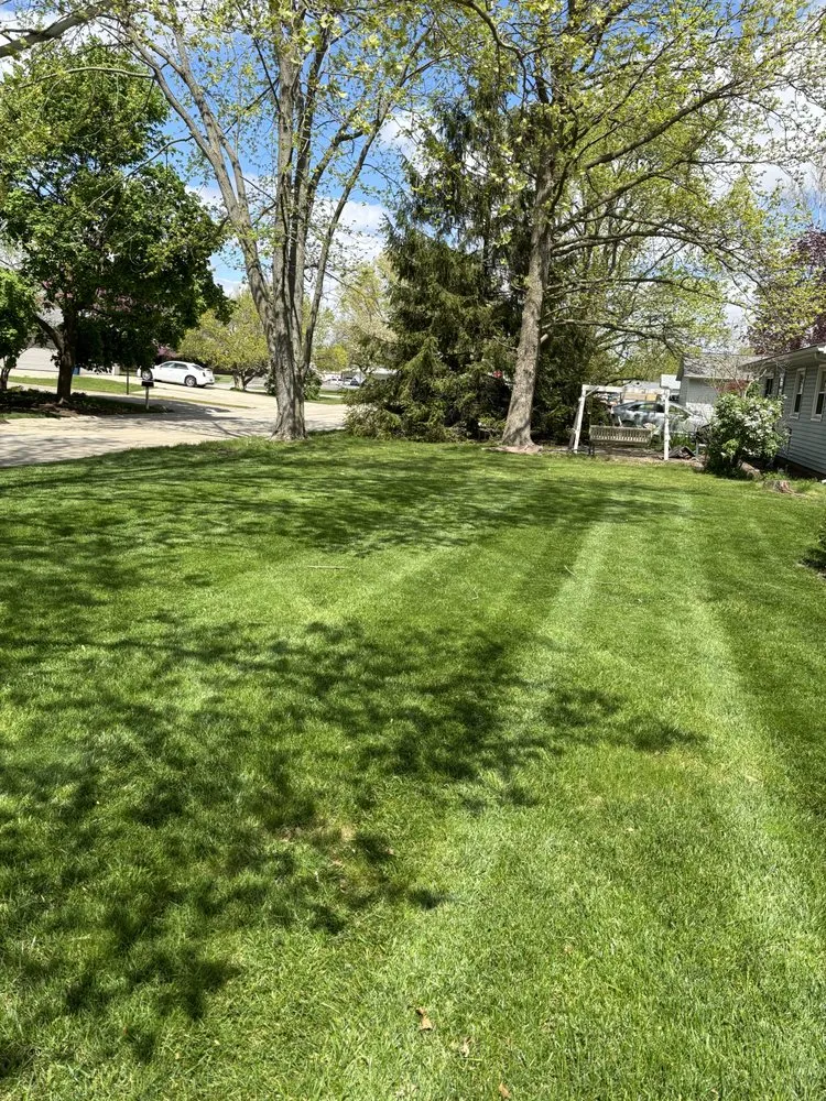 Custom residential landscaping in Champaign, IL by Shane's Mowing