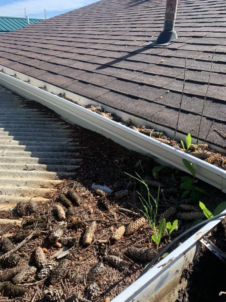 Professional landscape installation for residential properties across Killdeer, ND - Shane's Services