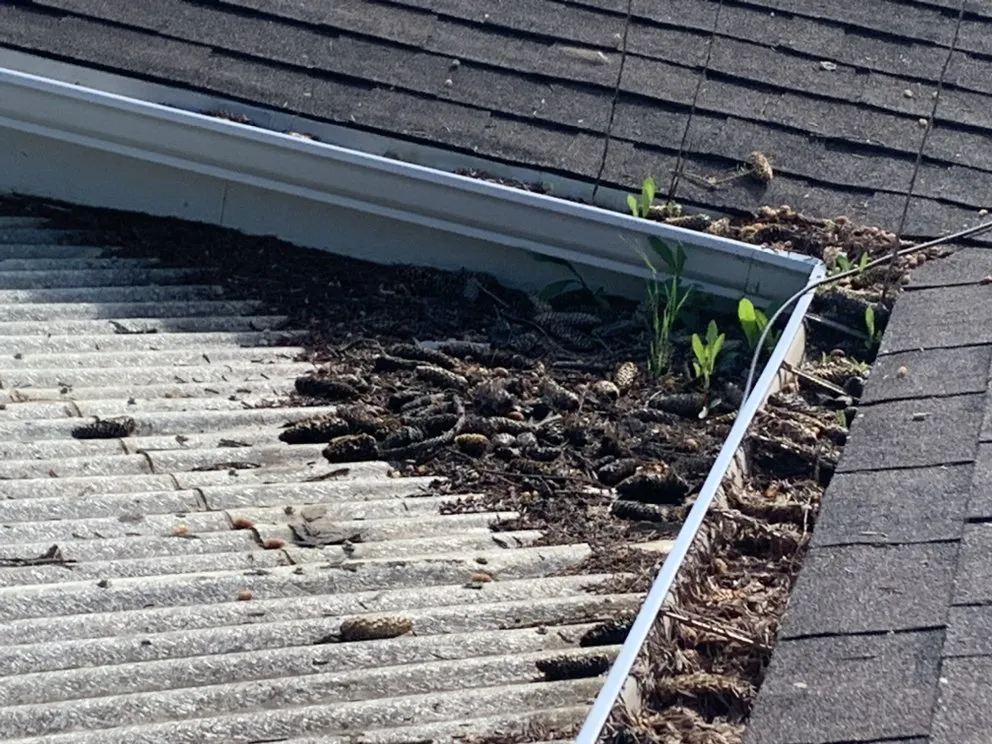 Local residential landscaping near you in Killdeer, ND by Shane's Services