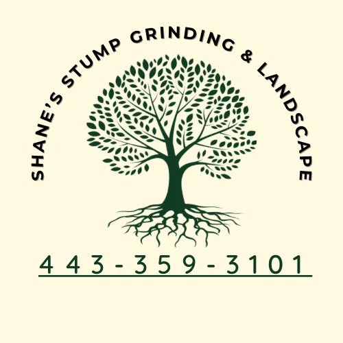 Expert outdoor landscaping in Newark, MD by Shane’s Stump Grinding and Landscape