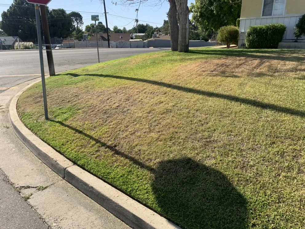 Professional landscape design for residential properties across Bakersfield, CA - Shanevas Lawn & Clean Up Services