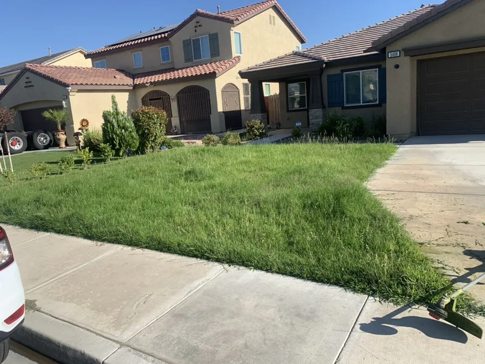 Local yard cleanup service experts serving Bakersfield, CA - Shanevas Lawn & Clean Up Services
