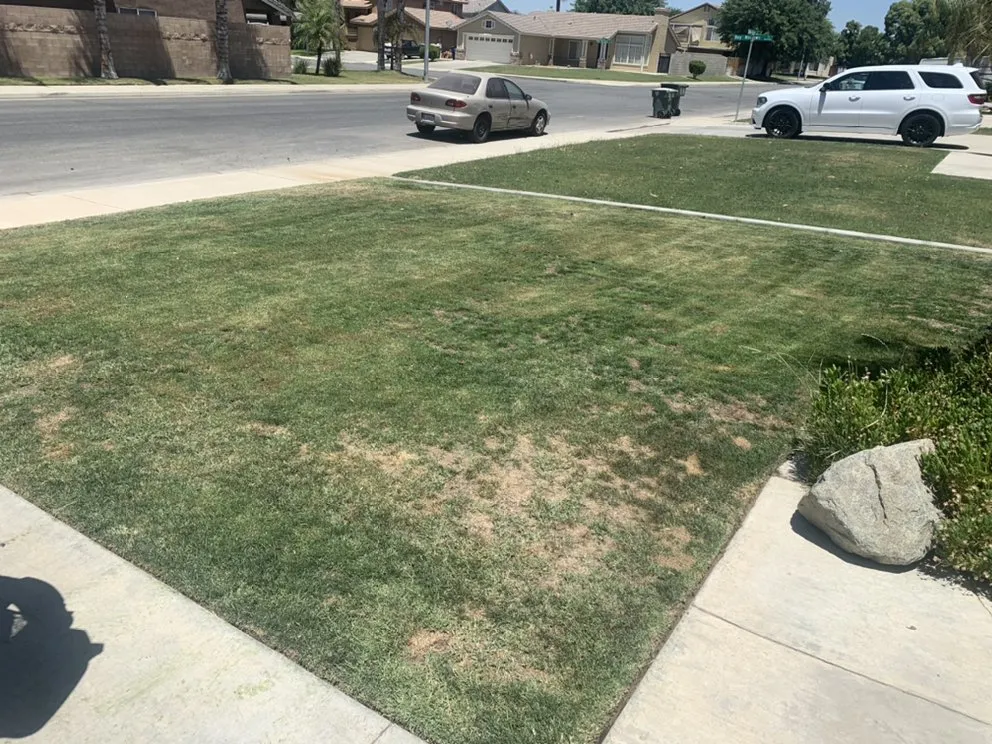Expert landscape design for outdoor upgrades across Bakersfield, CA - Shanevas Lawn & Clean Up Services