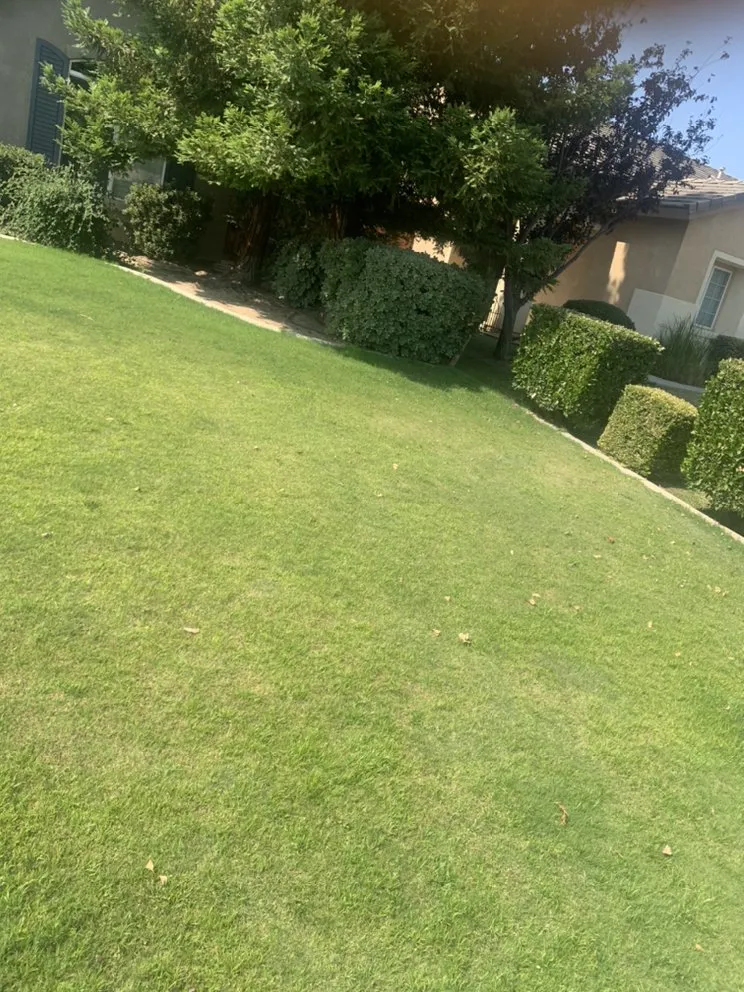 Local garden landscaping experts serving Bakersfield, CA - Shanevas Lawn & Clean Up Services