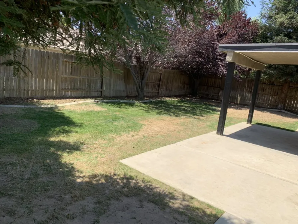 Custom yard maintenance in Bakersfield, CA by Shanevas Lawn & Clean Up Services