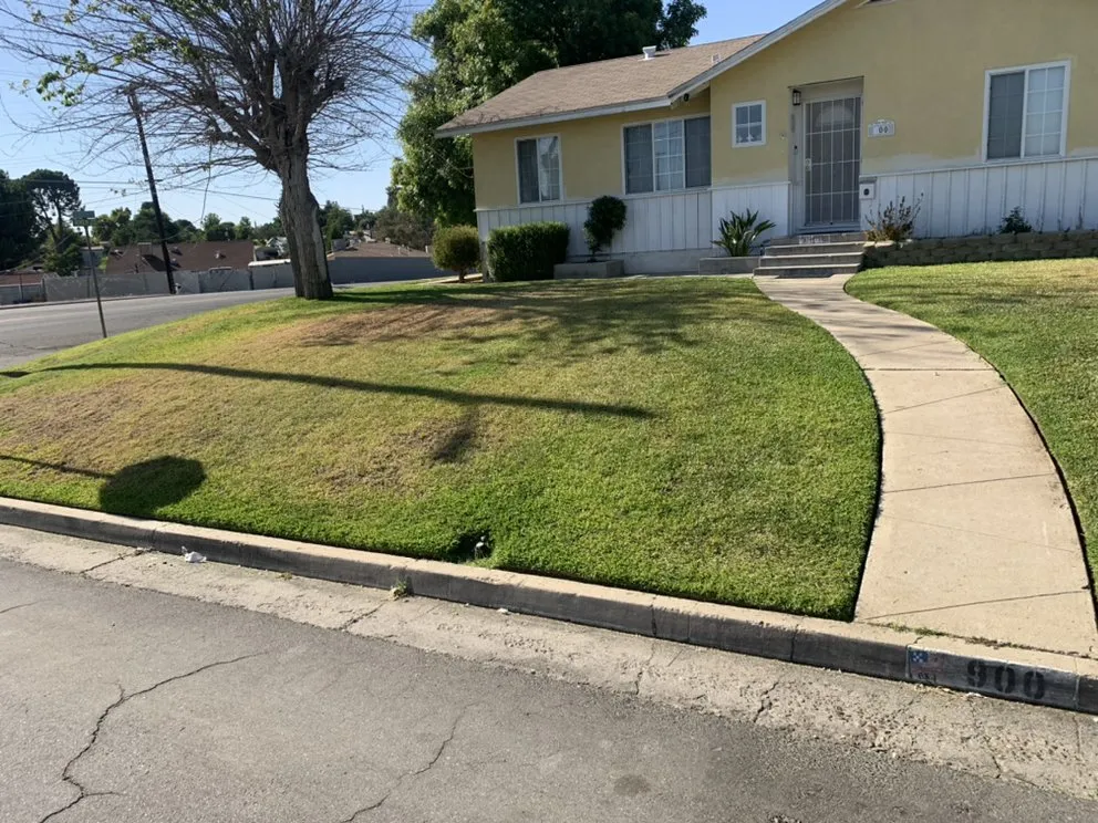 Expert yard maintenance in Bakersfield, CA - Shanevas Lawn & Clean Up Services