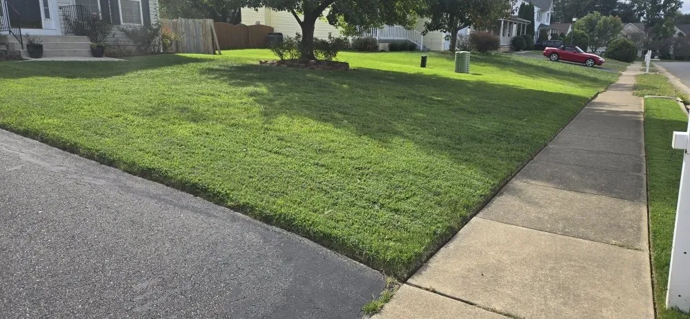 Trusted lawn care service for outdoor upgrades across Fredericksburg, VA - Shangria La Gardens and Landscapes