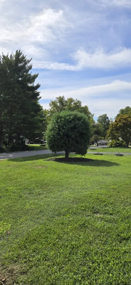 Affordable lawn care service for year-round maintenance across Fredericksburg, VA - Shangria La Gardens and Landscapes