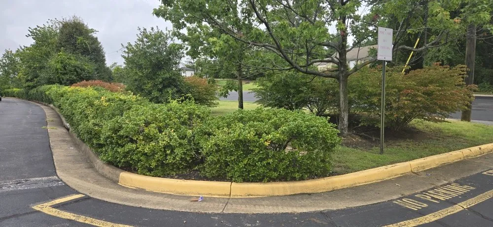 Expert landscape design near you across Fredericksburg, VA - Shangria La Gardens and Landscapes