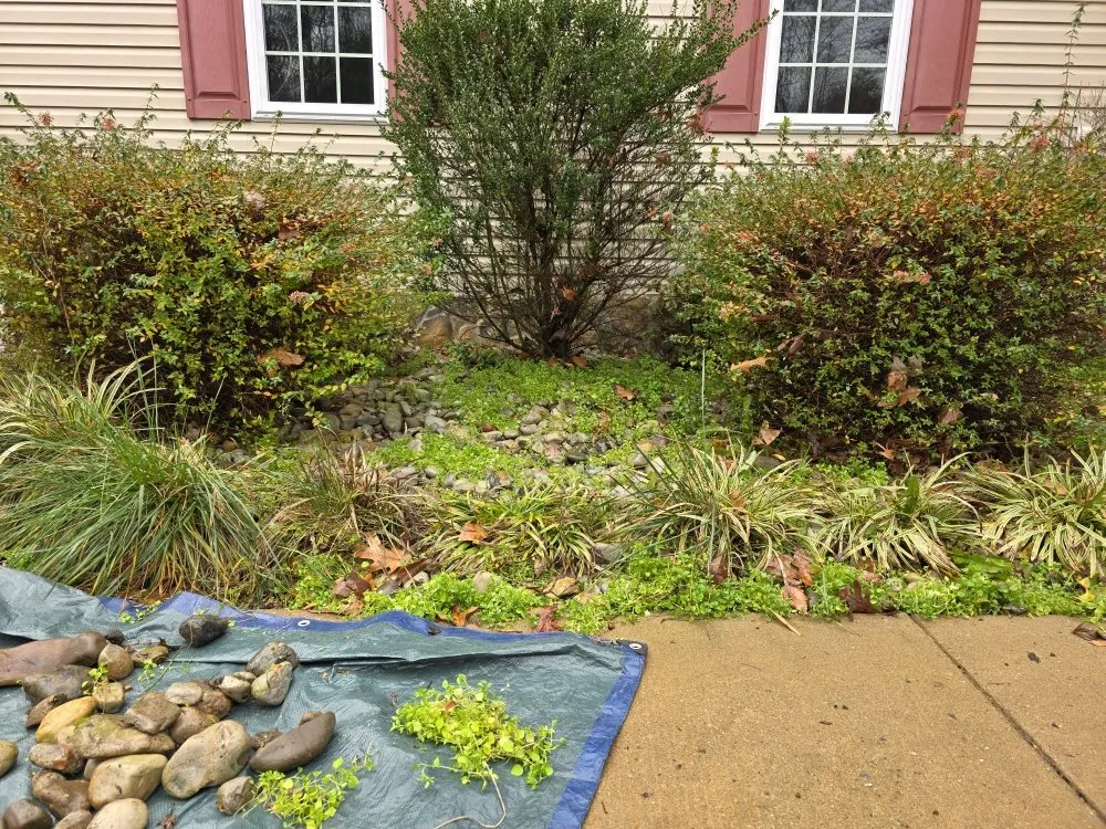 Expert lawn care service in Fredericksburg, VA by Shangria La Gardens and Landscapes