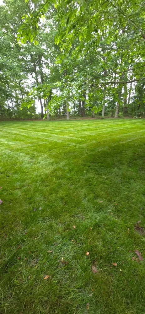 Local lawn care service for year-round maintenance in Fredericksburg, VA by Shangria La Gardens and Landscapes