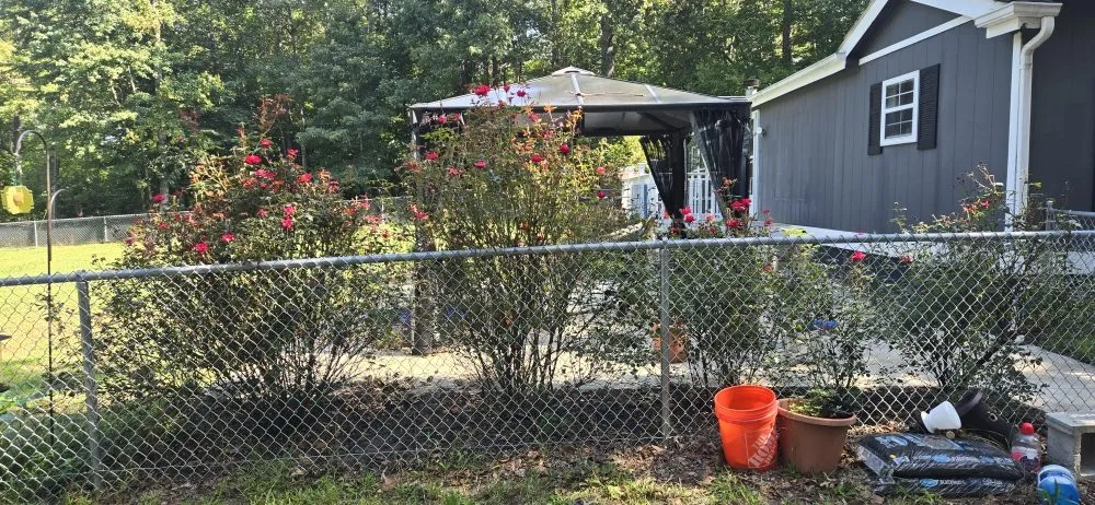 Custom lawn mowing service for year-round maintenance across Fredericksburg, VA - Shangria La Gardens and Landscapes