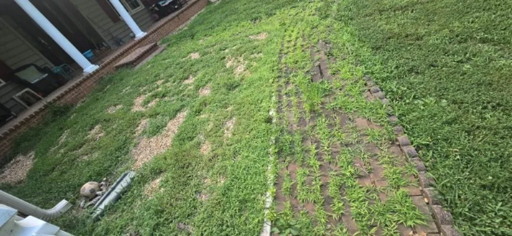 Expert landscape design in Fredericksburg, VA by Shangria La Gardens and Landscapes