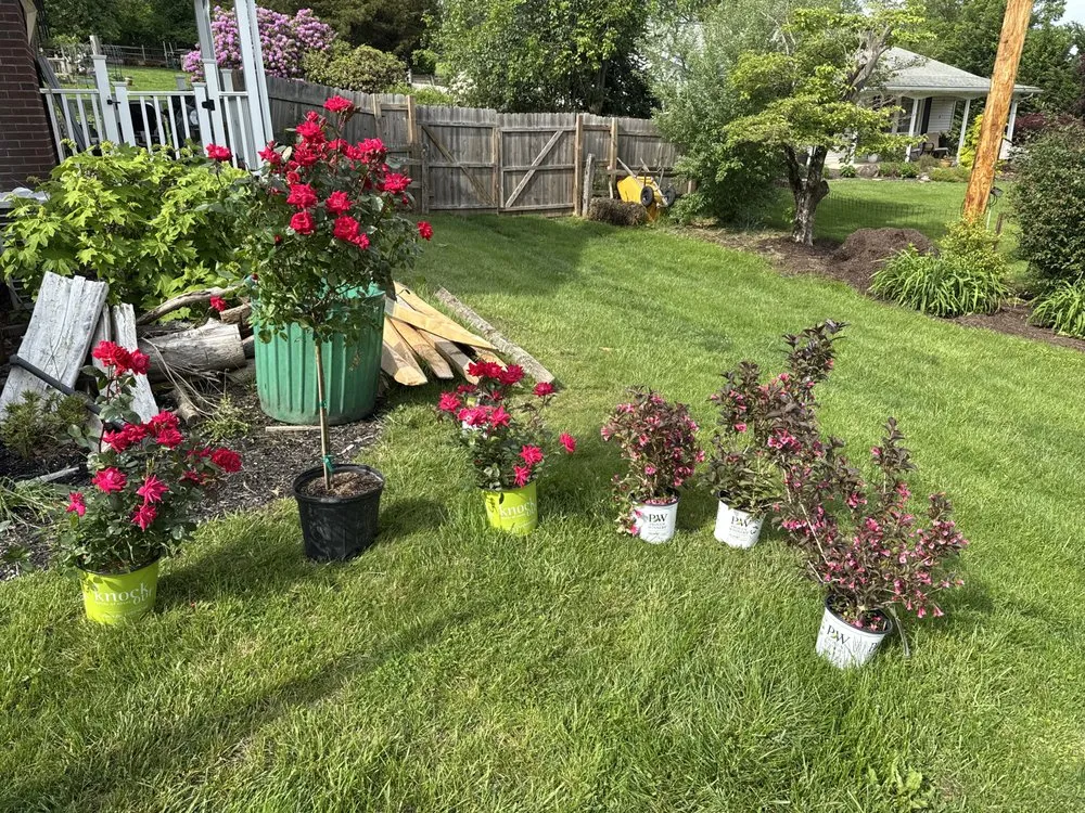 Local yard cleanup service experts serving Elverson, PA - Shanks Property Maintenance