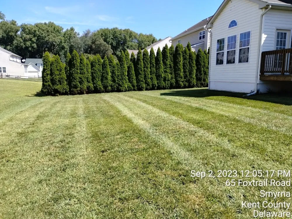 Reliable landscape installation near you in Marydel, MD by Shanks Services