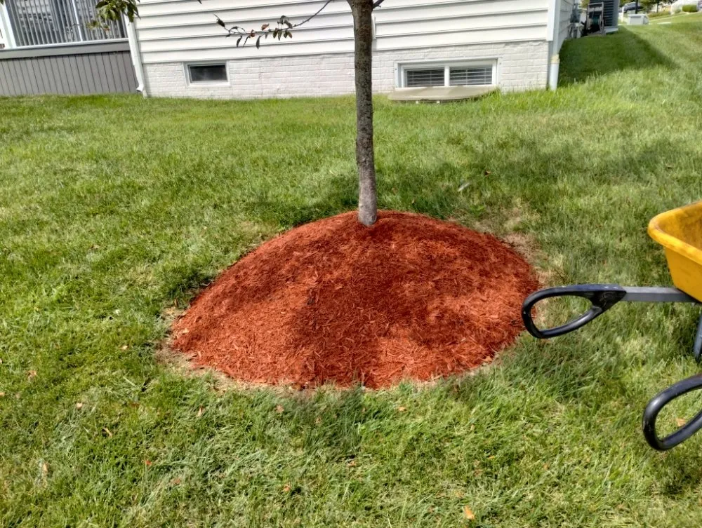 Reliable landscaping services in Marydel, MD - Shanks Services