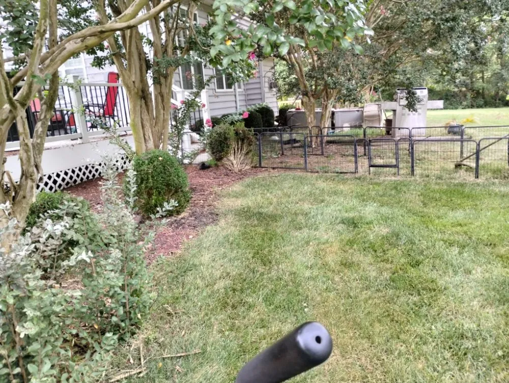 Reliable landscaping services experts serving Marydel, MD - Shanks Services