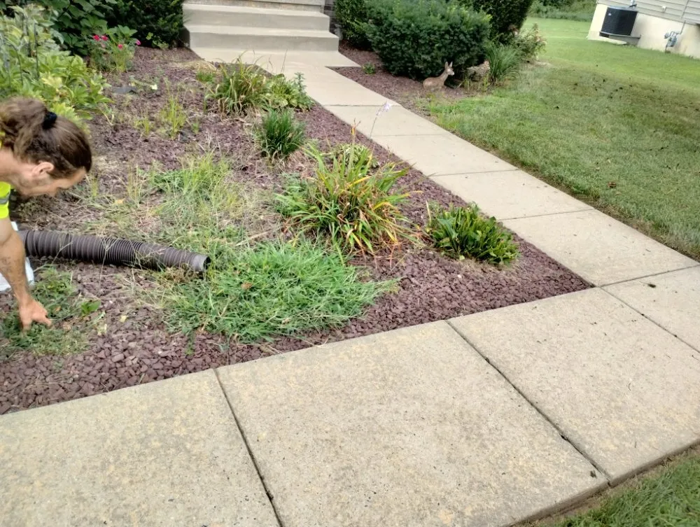 Professional lawn care service near you in Marydel, MD by Shanks Services
