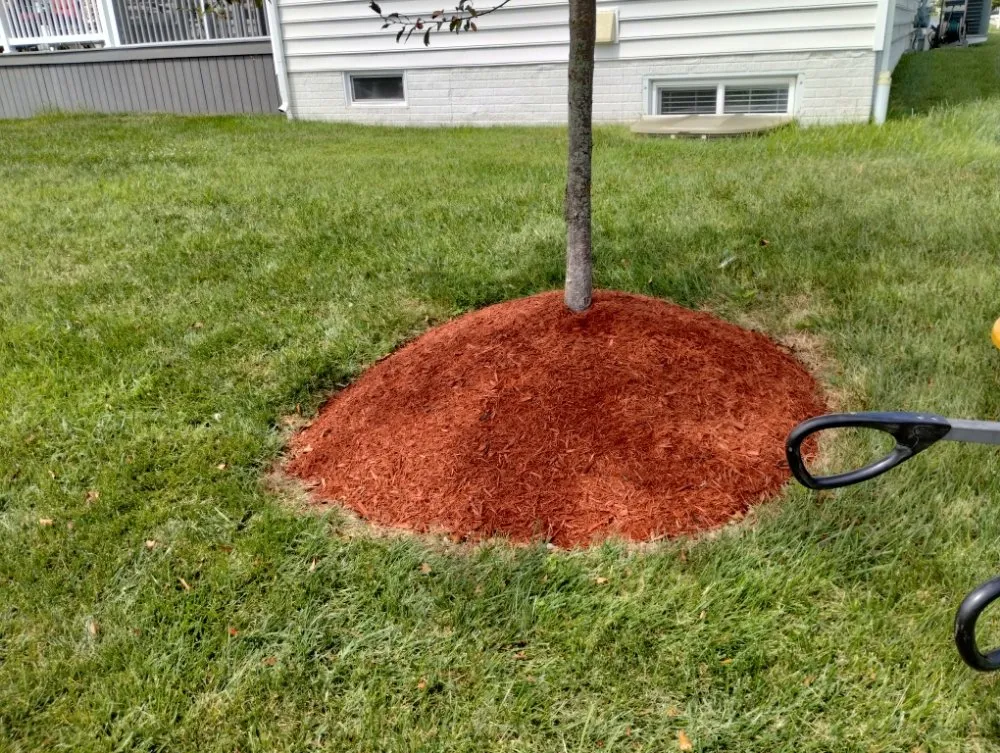 Local landscaping services for homes in Marydel, MD by Shanks Services