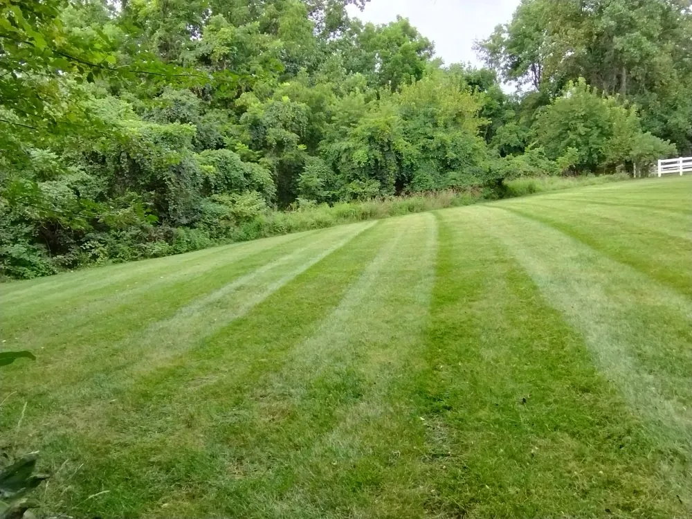 Trusted lawn care service near you in Marydel, MD by Shanks Services