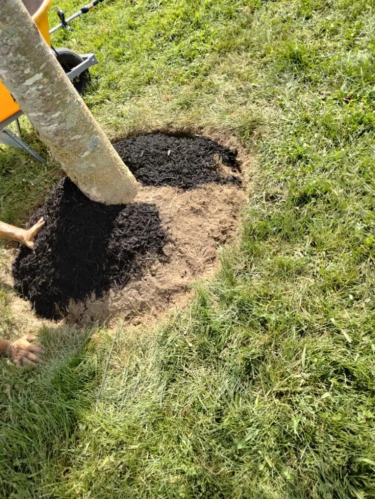 Top-rated landscape installation in Marydel, MD by Shanks Services