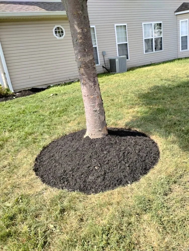 Affordable landscaping services in Marydel, MD - Shanks Services