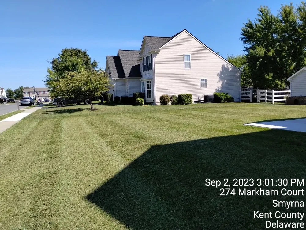 Professional lawn care service experts serving Marydel, MD - Shanks Services