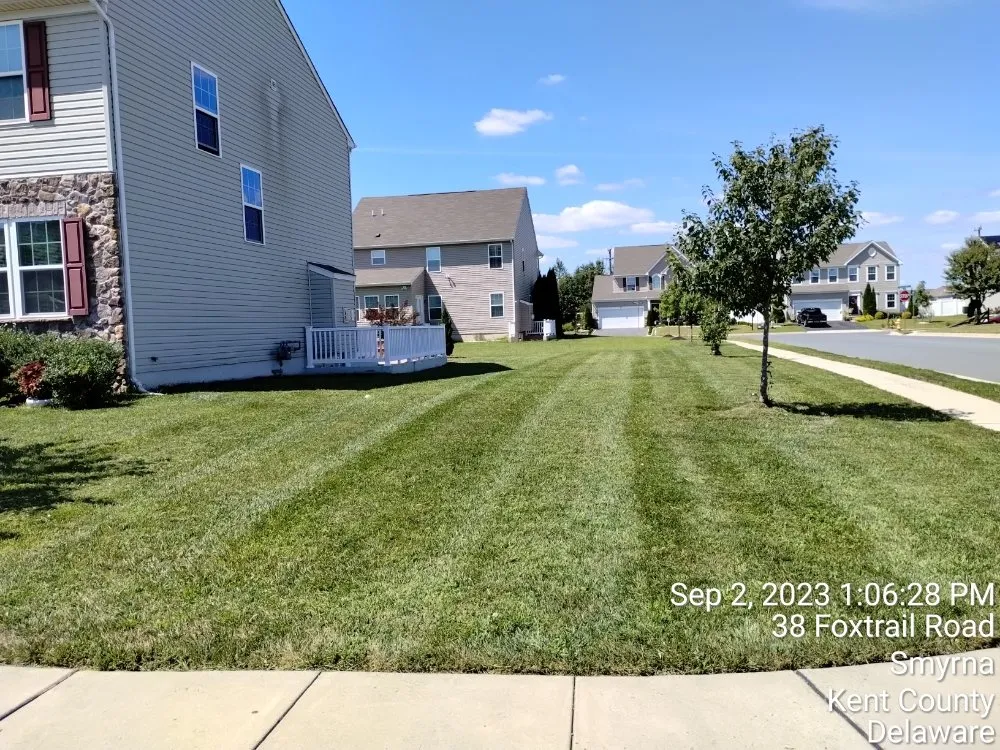 Trusted residential landscaping in Marydel, MD - Shanks Services