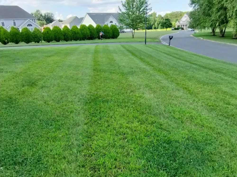 Trusted yard maintenance near you in Marydel, MD by Shanks Services