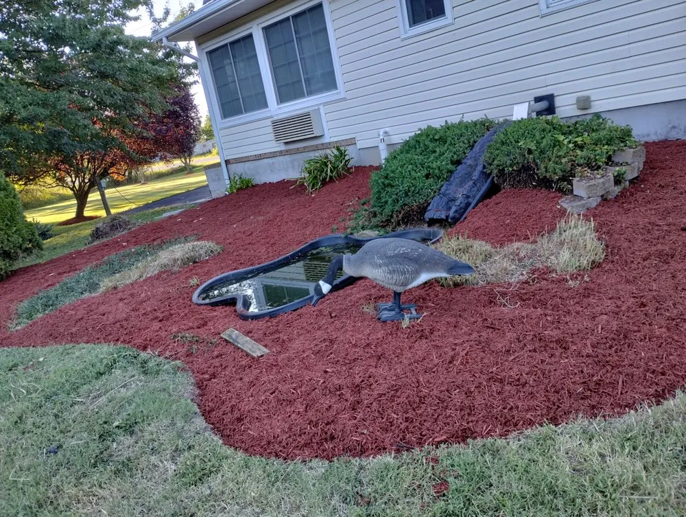 Top-rated outdoor landscaping for residential properties in Marydel, MD by shanks Tree and Landscaping Services